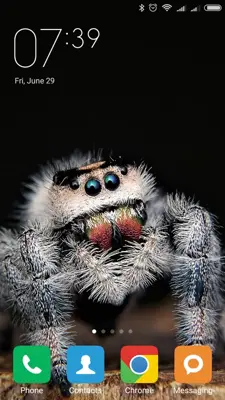 Spider Wallpapers android App screenshot 2