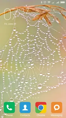 Spider Wallpapers android App screenshot 4